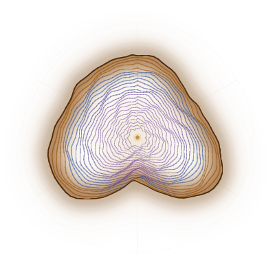 Illuminator fingerprint