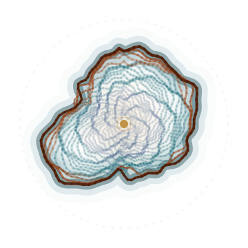 Mature fingerprint